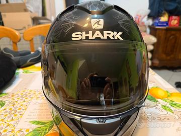 Casco shark