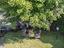 Immagine 27