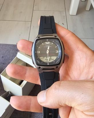Casio Ibrido Telememo 