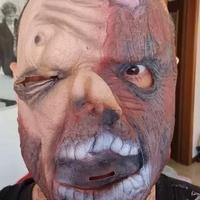Halloween Zombie Horror Mask Maschera Carnevale Zo