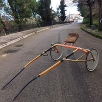 Sulky in legno per Cavallo