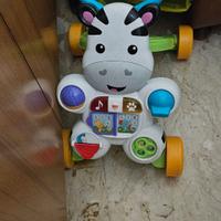 Zebra x imparare a camminare