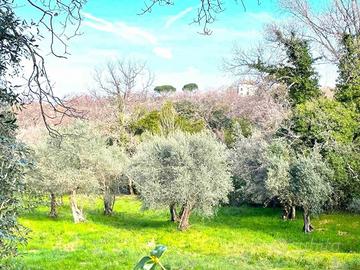 Terreno di 15000 m² a Viterbo