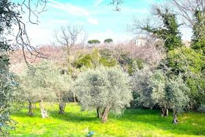 Terreno di 15000 m² a Viterbo