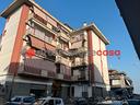 rapisardi-negozio-bottega-commerciale