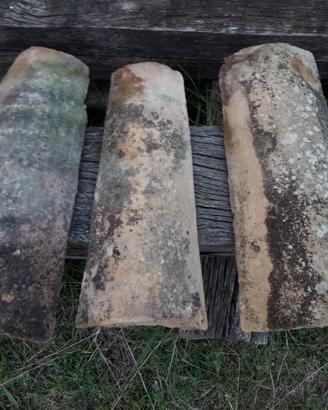 Coppi antichi del 1800