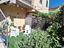 Immagine 15