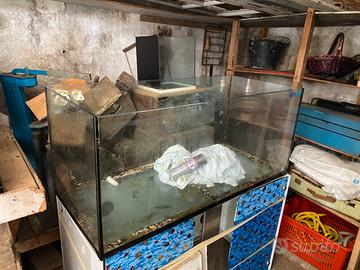 Acquario