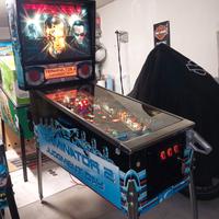 Flipper Terminator 2 Williams 