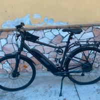 bicicletta elettrica
