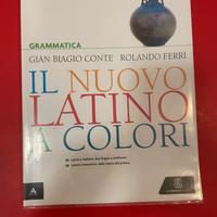 Il nuovo latino a colori grammatica -libri scolast