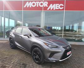 Lexus NX 300 NX 300h 2.5 Business 4wd cvt 24 mesi