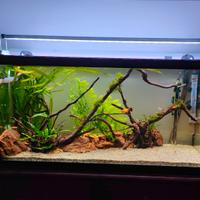 Acquario 80x30 H40 90 litri