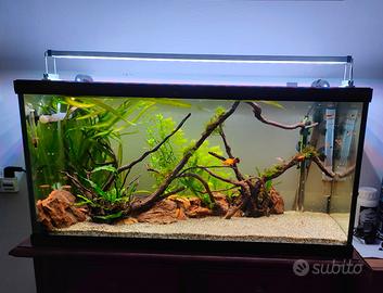 Acquario 80x30 H40 90 litri