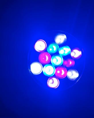 Lampade Led per acquario marino 