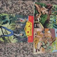 Fumetti