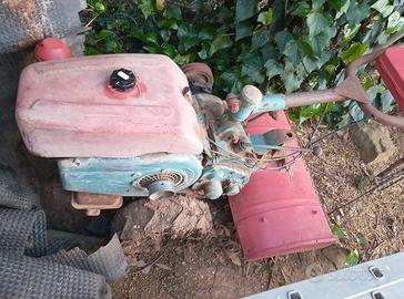 Motocoltivatore fm