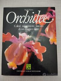 Orchidee - Takashi Kijima - Mondadori