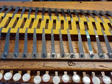 Raro Provino intonatura voci