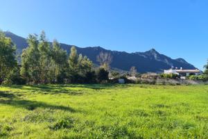 Terreno agricolo