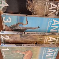 Enciclopedia illustrata degli animali