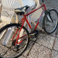 Mountan bike uomo