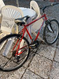 Mountan bike uomo