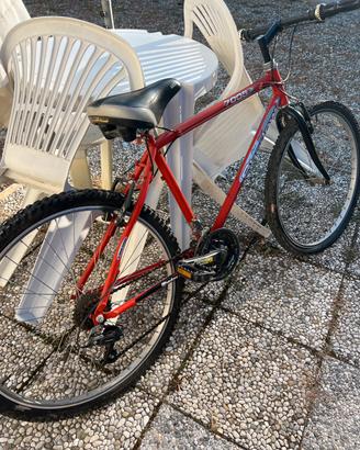 Mountan bike uomo
