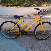 Bici da donna con CAMBIO