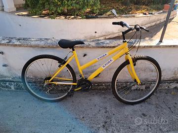 Bici da donna con CAMBIO