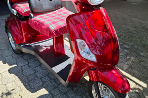 Scooter elettrico 2 posti per anziani