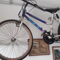bici BSA