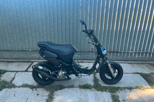 PHANTOM F12 LC TWIN DISK DIGITAL BIPOSTO MARCIANTE