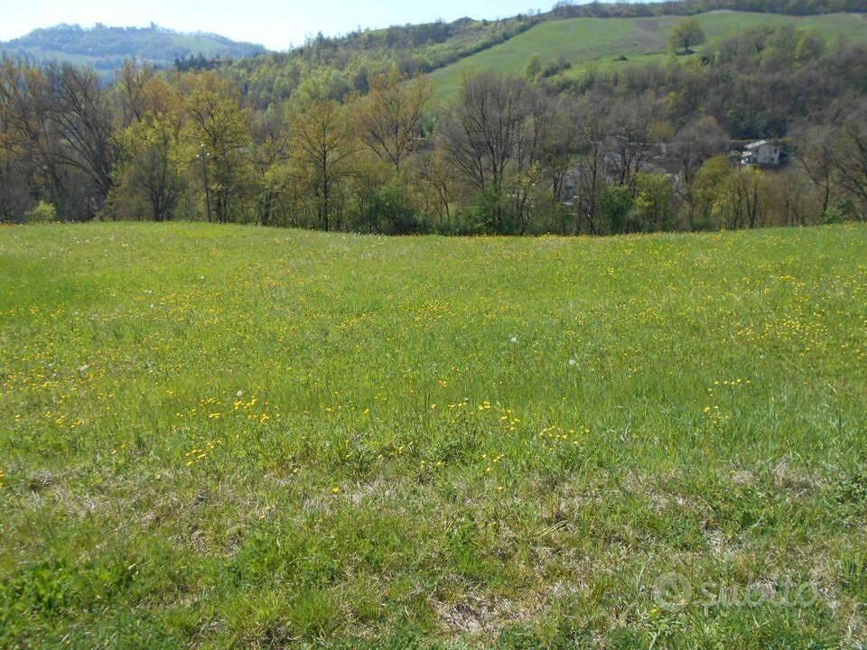 Immobile in asta di 10522 m² a Scandiano - Vista 5