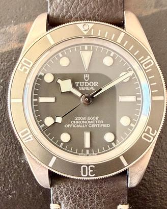 Tudor Black Bay 58 925 Silver 79010SG 2024