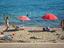 Immagine 15