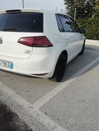 Golf 1.6 tdi