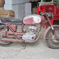 Ducati 125 Sport/1 - Anni 60