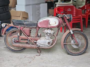 Ducati 125 Sport/1 - Anni 60