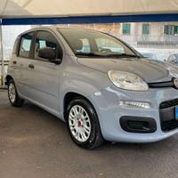 FIAT Panda  1.0 hybrid/Benzina firefly s&s( 70cv)