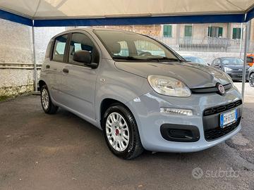 FIAT Panda  1.0 hybrid/Benzina firefly s&s( 70cv)
