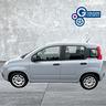 fiat-panda-1-0-firefly-s-s-hybrid