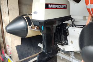 Mercury 60 1995 elpto