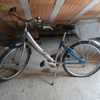 Bici da donna