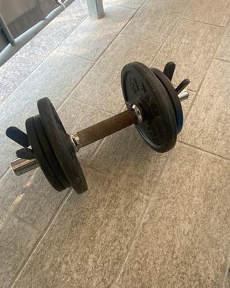 Manubri da palestra 10 Kg - 2 pezzi