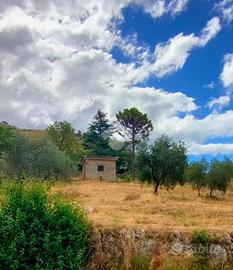 TER. AGRICOLO A ITRI