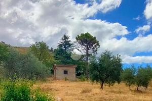 TER. AGRICOLO A ITRI