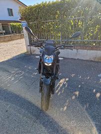 Benelli bn125