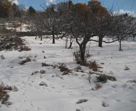 RAGALNA - TERRENO PIANEGGIANTE cod. RA020T