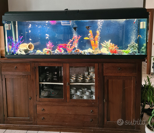 Acquario molto grande